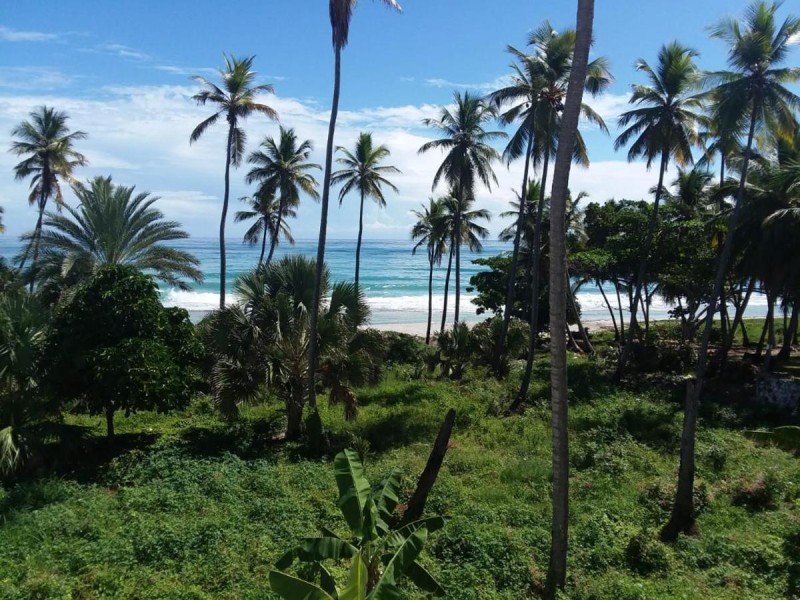 Image: Oasi Encantada - Beach Resort