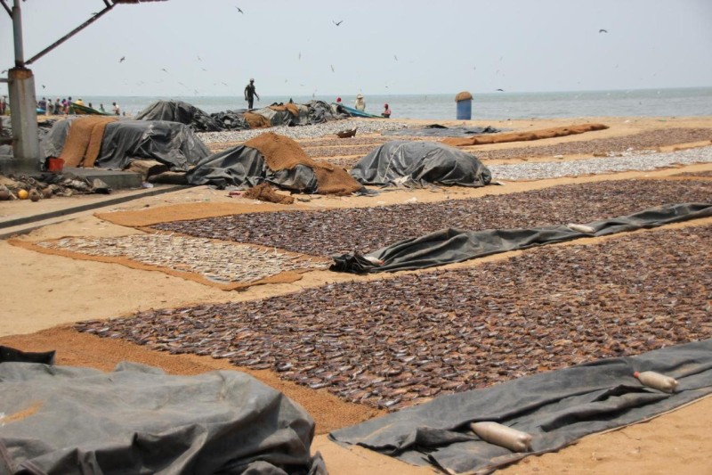 Image: Hotel 198 Negombo