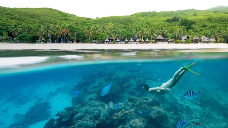Image: Octopus Resort