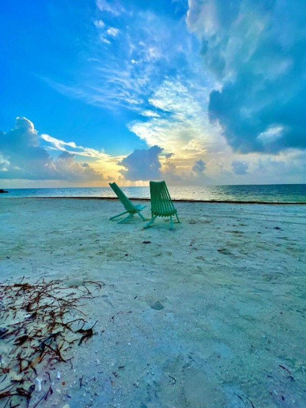 Image: Blu Zen