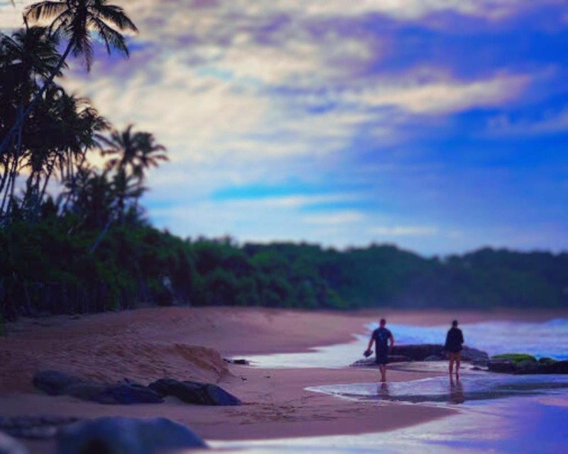 Image: AMOUR AT TURTLE BEACH