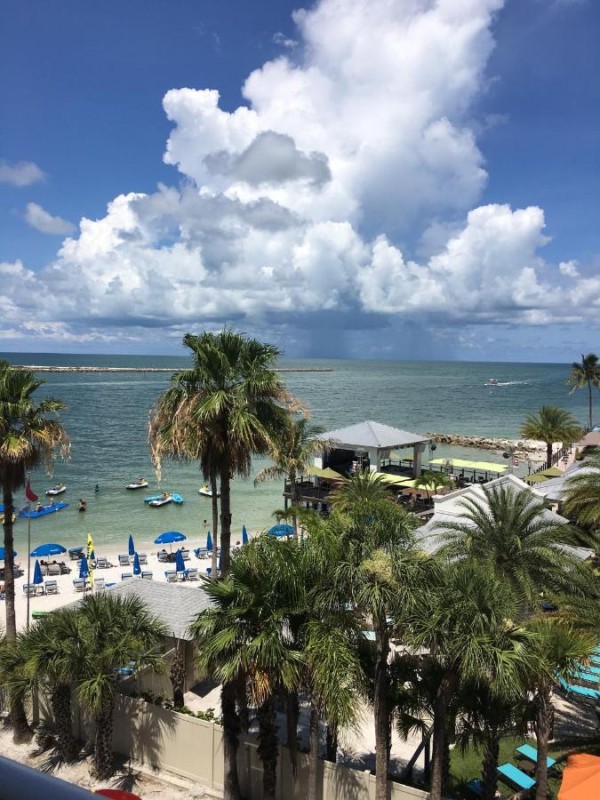 Image: Gulfview Hotel - On the Beach