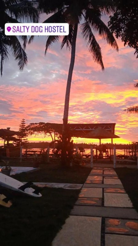 Image: Salty Dog Hostel
