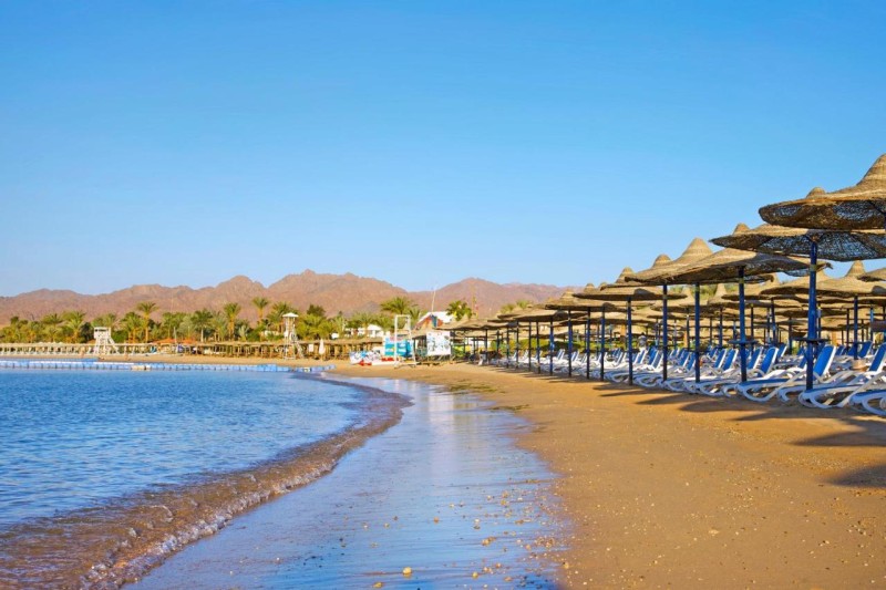 Image: Gafy Resort Aqua Park