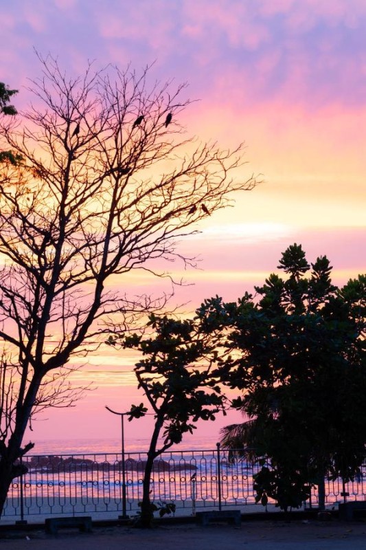 Image: Tangalle Rest House