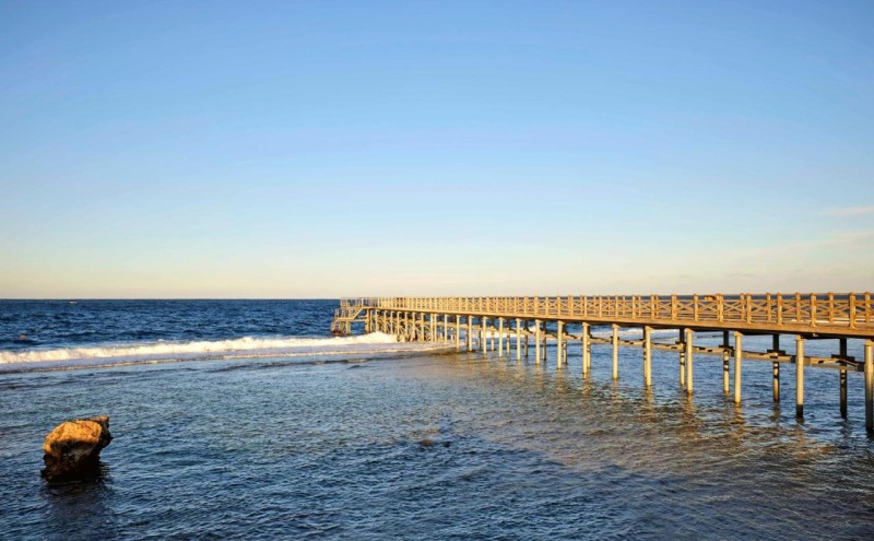 Image: Steigenberger Resort Alaya Marsa Alam - Red Sea - Adults Friendly 16 Years Plus