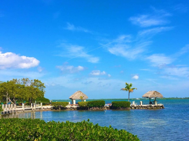 Image: Parmer's Resort