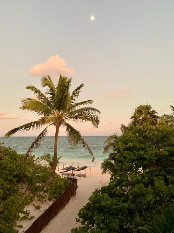 Image: Libelula Tulum Beachfront Hotel