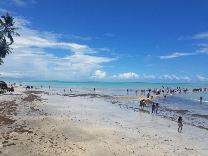 Image: Pousada Areal Barra Grande Maragogi AL