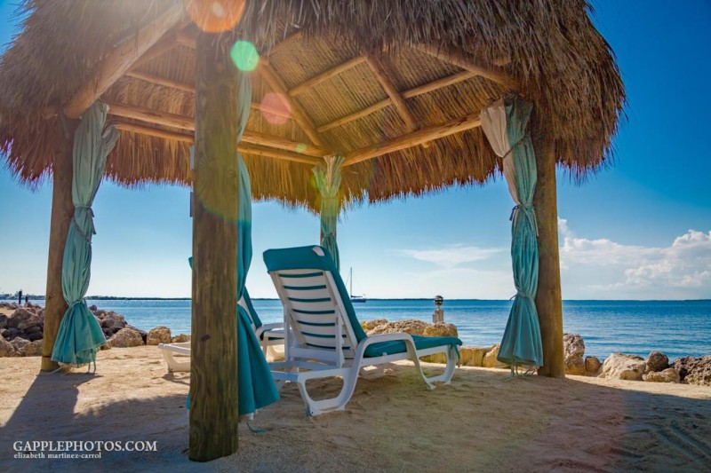 Image: Amoray Dive Resort
