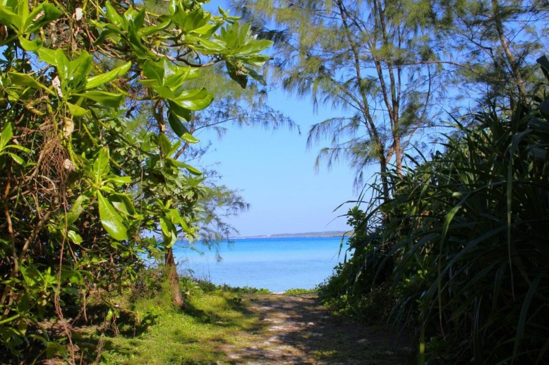 Image: Grand Bleu Gamin