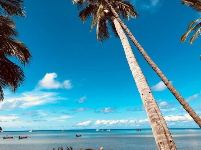 Image: Koh Tao Tropicana Resort