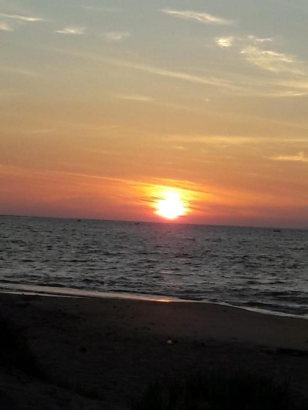 Image: Nirukthie Beach Resort & Restaurant