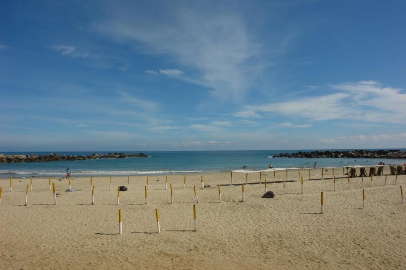 Image: Hotel Catimar