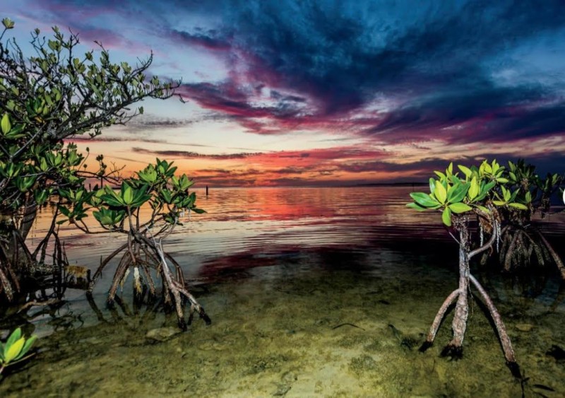 Image: Conch Key Fishing Lodge & Marina