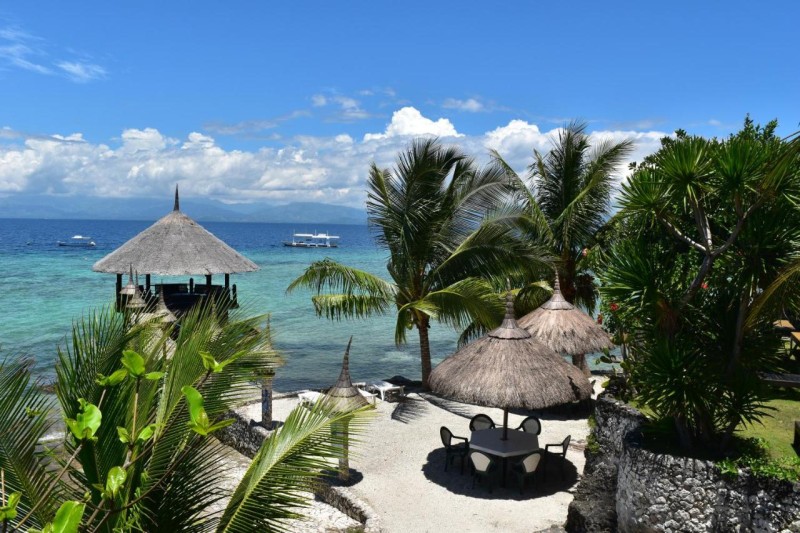 Image: Dolphin House Resort Moalboal