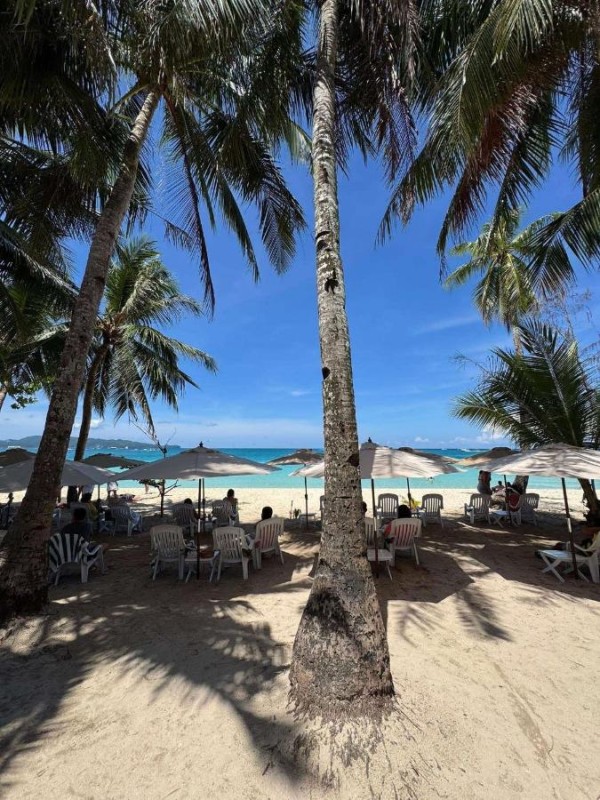 Image: Bamboo Beach Resort & Restaurant