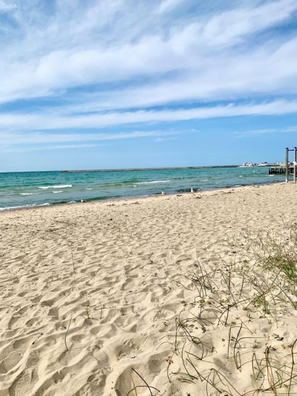Image: Paradise Inn On the Beach