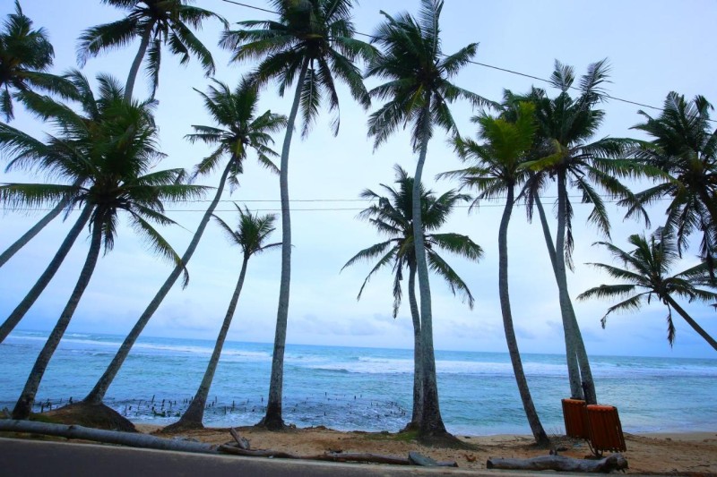 Image: Turtle Eco Beach