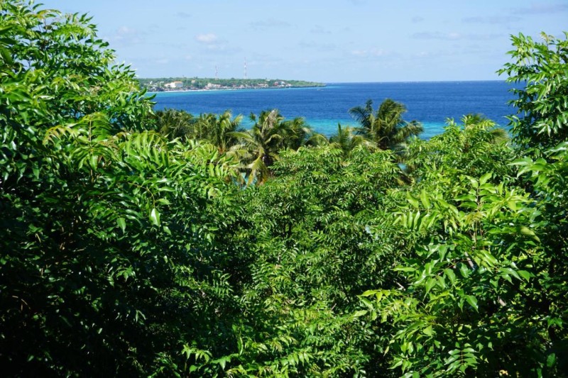 Image: Mangga Lodge