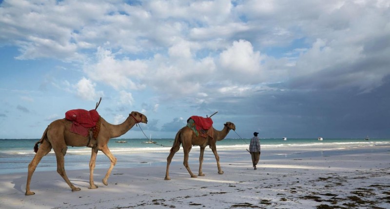 Image: Neptune Village Beach Resort & Spa - All Inclusive