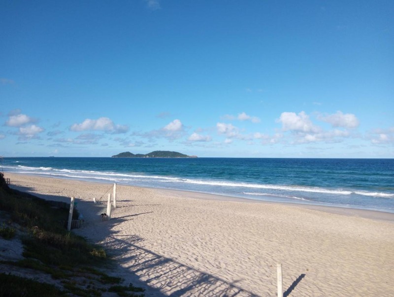 Image: Sea Wolf Surf Hostel Campeche