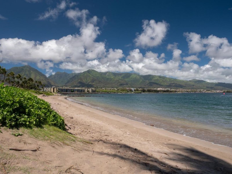 Image: Maui Seaside Hotel