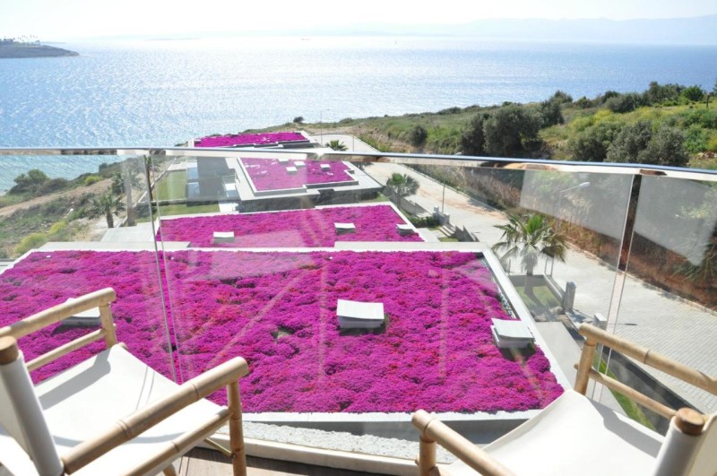 Image: Şato Design Hotel