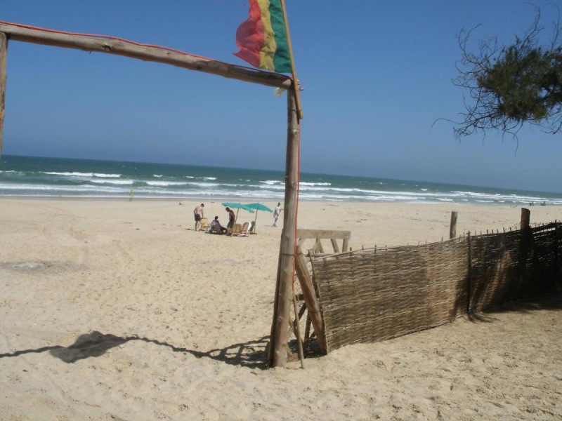 Image: Africa Roots