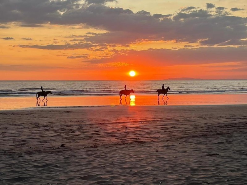 Image: La Sirena Playa Jacó