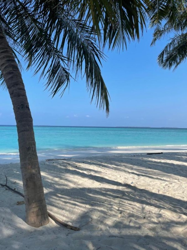 Image: Viluveli Holiday Retreat