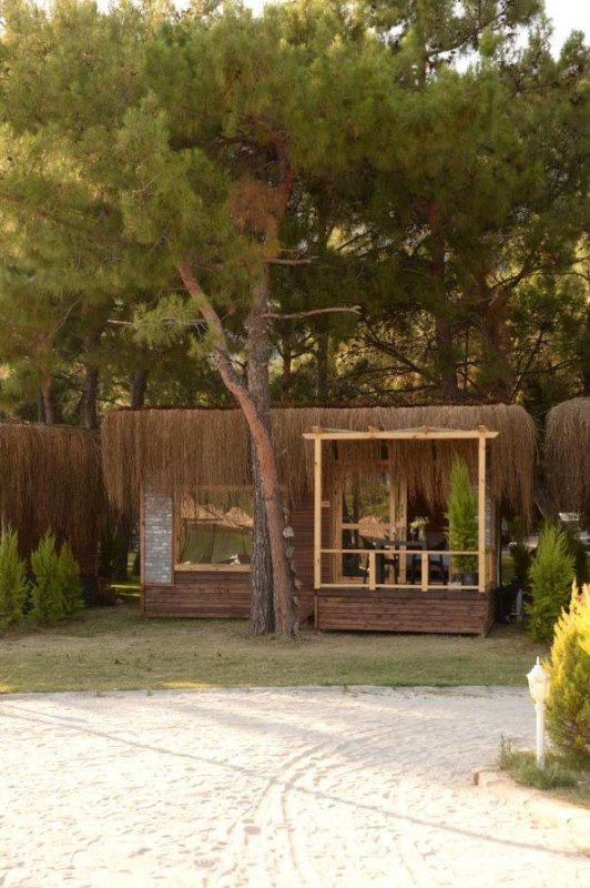 Image: Green Pine Bungalows & Beach Luxury Concept