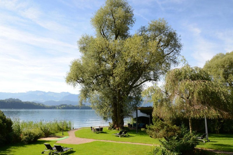 Image: Swiss-Chalet Merlischachen - Historik Chalet-Hotel Lodge
