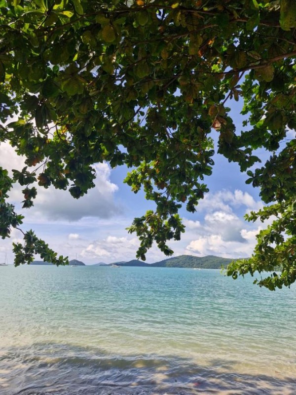 Image: The Mooring Resort