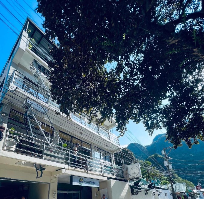 Image: Alocasia Inn - El Nido