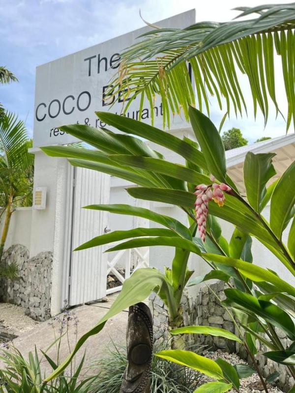 Image: Coco Beach Resort