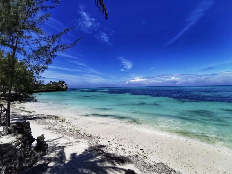 Image: COCO REEF ECOLODGE