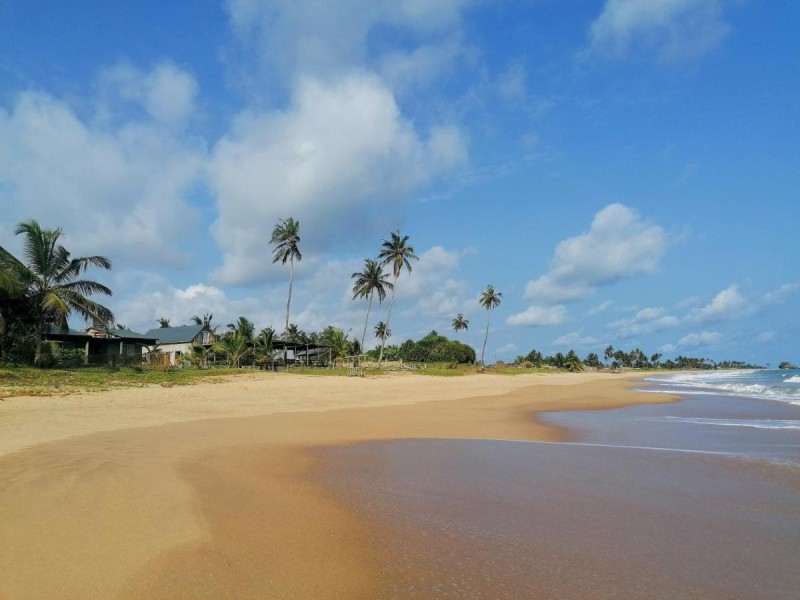 Image: Afro Beach eco Resort Butre