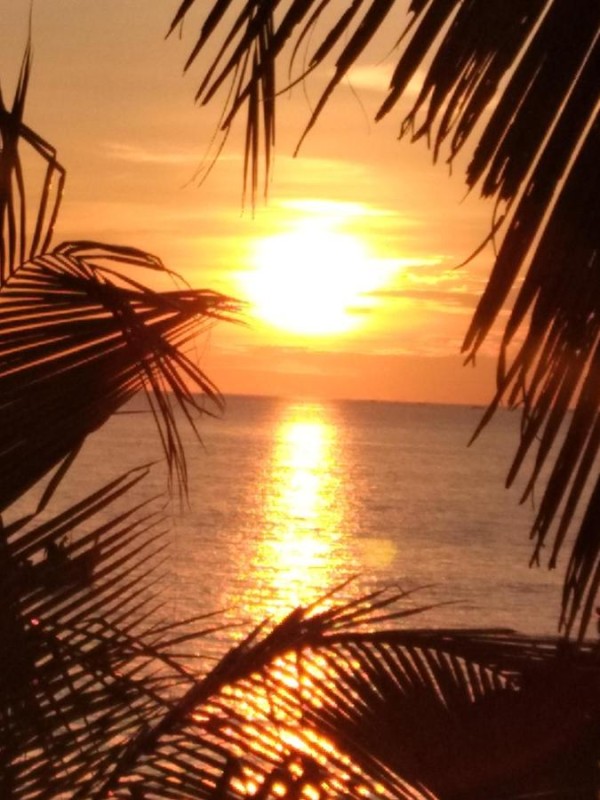 Image: Oliver`s Laguna ECO Lodge Hotel