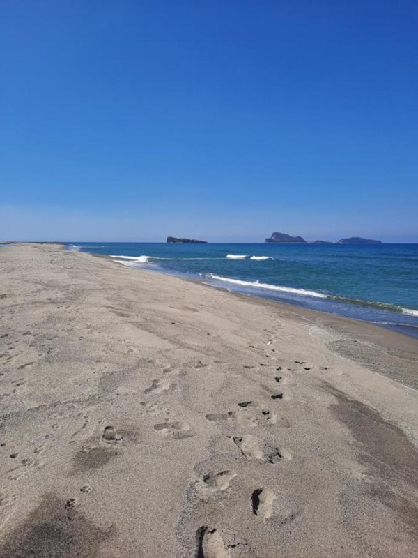 Image: Youhan Beach Resort