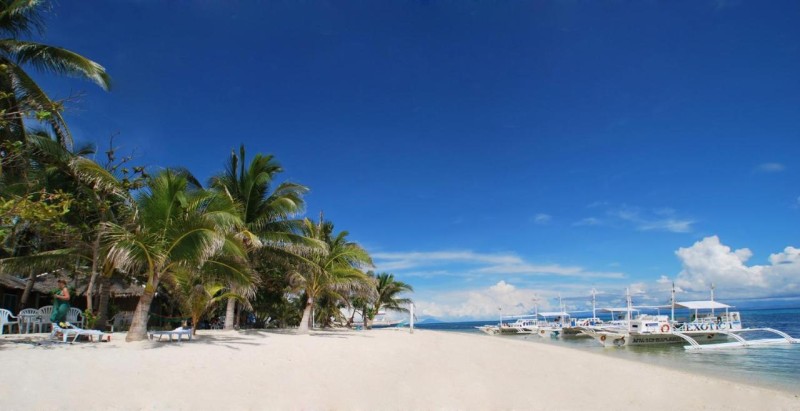 Image: Malapascua Exotic Island Dive Resort