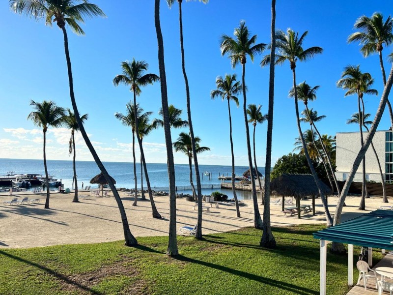 Image: Breezy Palms Resort
