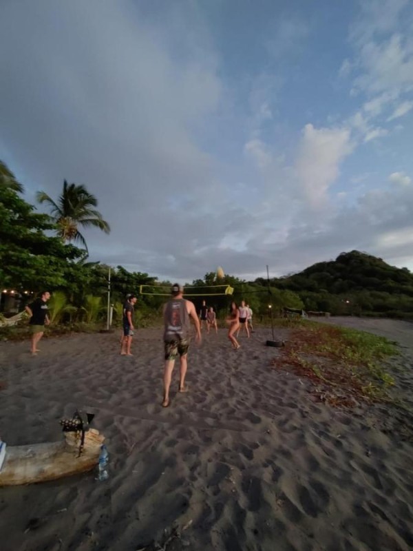 Image: Alive Beach House