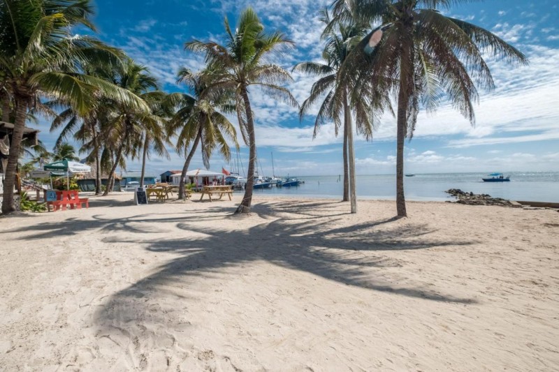 Image: Holiday Hotel
