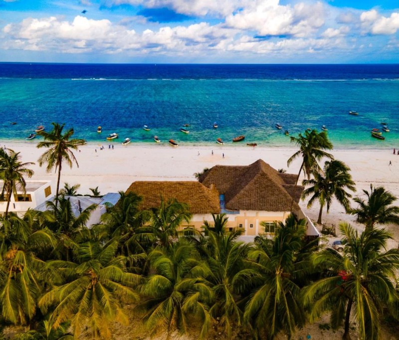 Image: Mambo Paradise