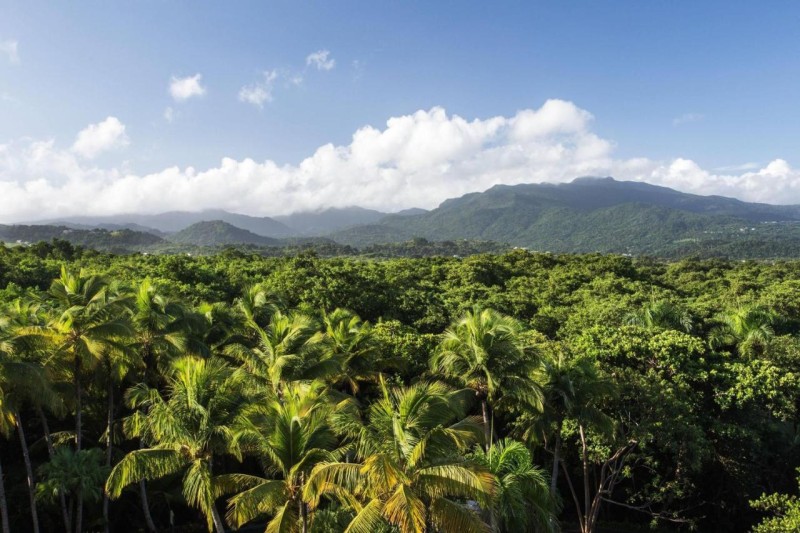 Image: Wyndham Grand Rio Mar Rainforest Beach and Golf Resort
