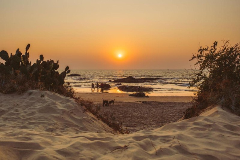 Image: Nalanda Retreat Goa By Mandrem Beach