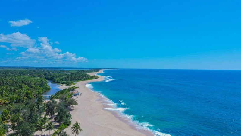 Image: Marakolliya Beach Resort