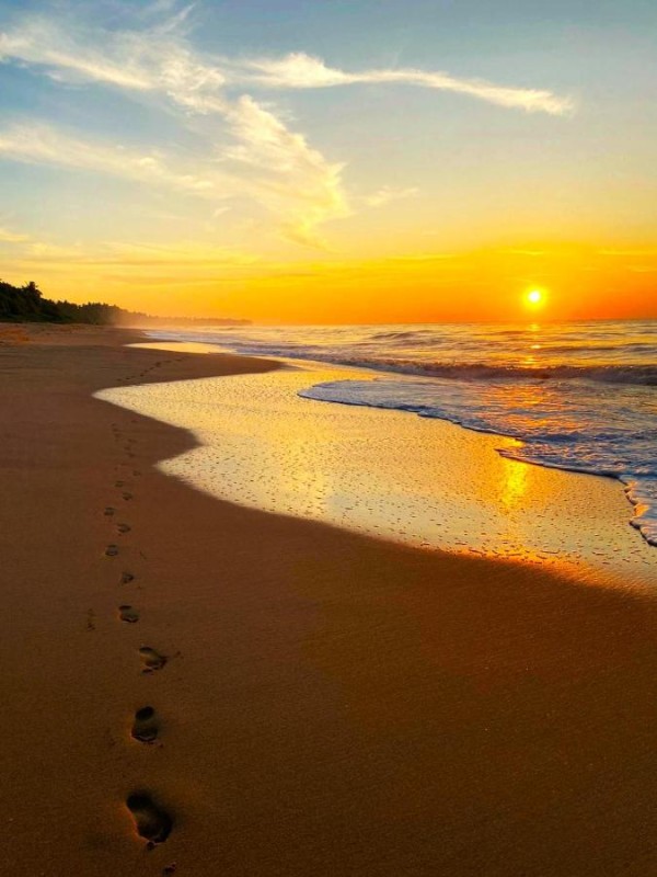 Image: Sleeping Elephant Beach Resort