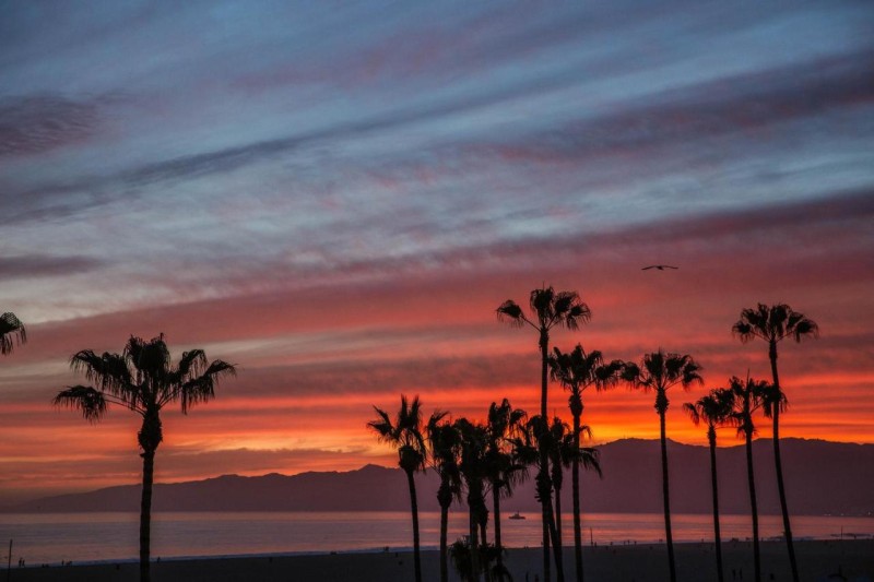 Image: STAY OPEN Venice Beach